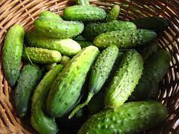 what is Gherkins